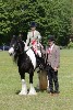 thornton-le-dale-gala showclass7acharity25-5-20255